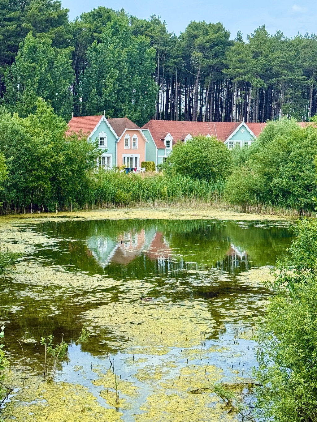 Saturday 30th May 2026 – an inland walk to Fort Mahon and back along the&nbsp;beach….
